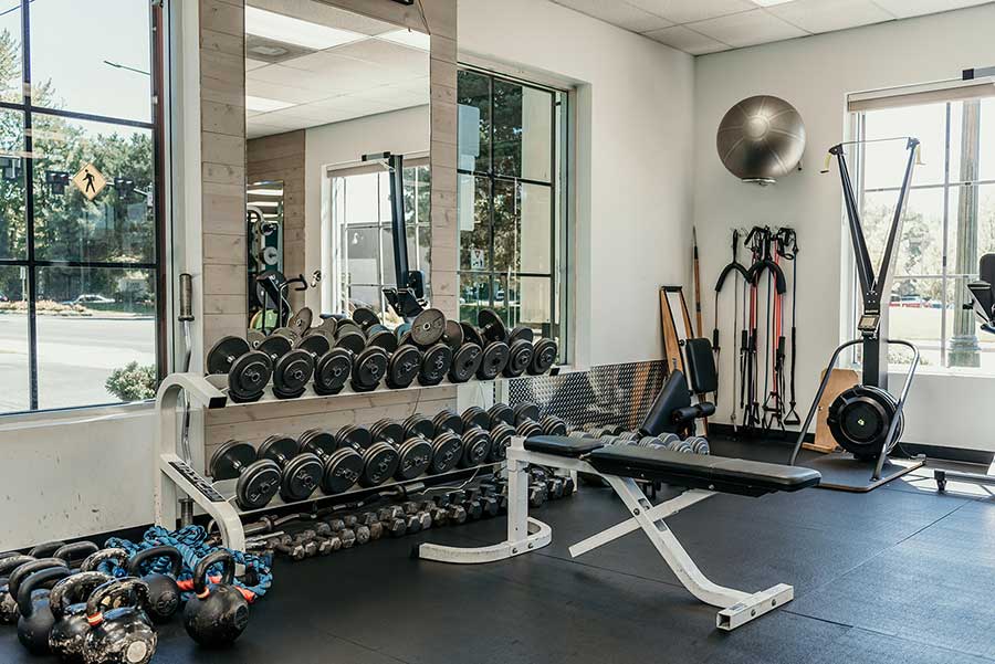 Body Basics Boise